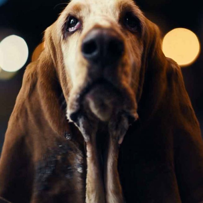 48 STUNDEN NEUKÖLLN