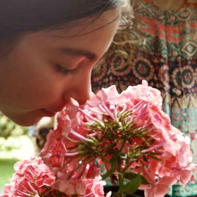 BERGE EIN MEHR AUS FARBEN IGA 2017